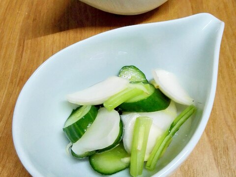 塩麹で野菜の浅漬け